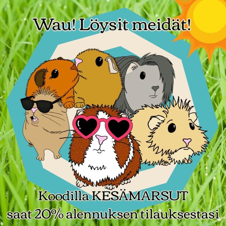löysitmeidät